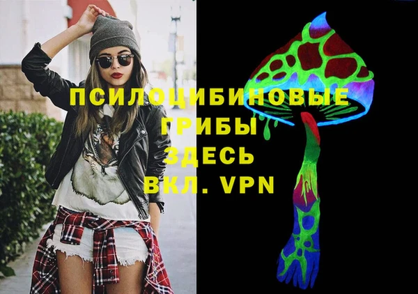 винт Сатка